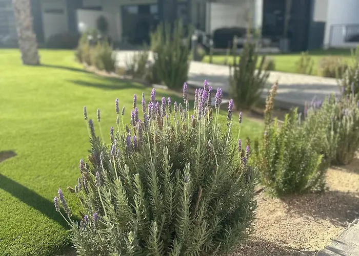 Sea View Celere Estepona